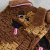 mata-wechowa-pies-bruno.png