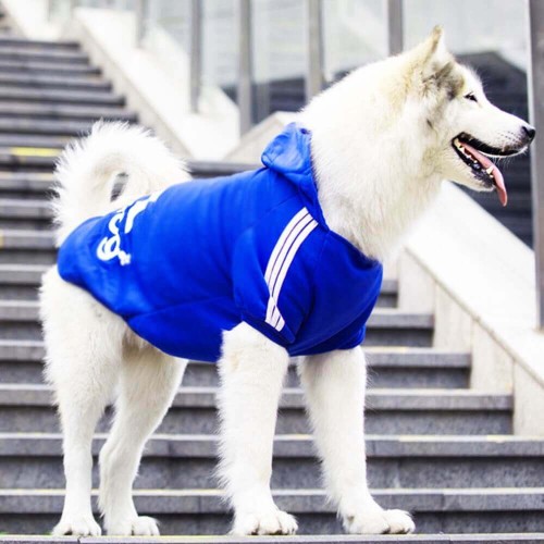 adidog-dla-psa-2.jpg