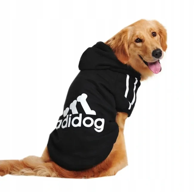 adidog-czarny.webp