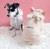futerkowe-bluzy-dla-psow-2.jpg