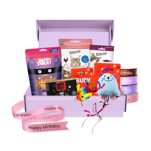 box-urodzinowy-dla-kota.png