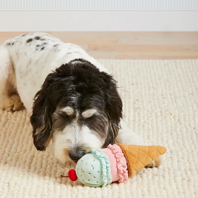 the-foggy-dog-zabawka-wechowa-dla-psa-lody.webp