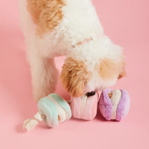 the-foggy-dog-zabawka-na-przysmaki-dla-psa-makaroniki.webp